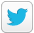 Twitter Icon